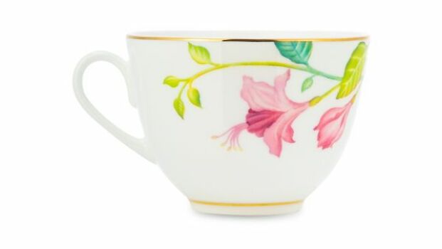 Чашка с блюдцем форма "Весеняя-2" рисунок "Сад мечты", Императорский фарфоровый завод