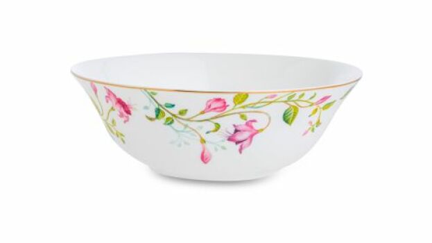 Сервиз столовый "Премиум" рисунок "Сад мечты", 24 предмета на 6 персон, Императорский фарфоровый завод